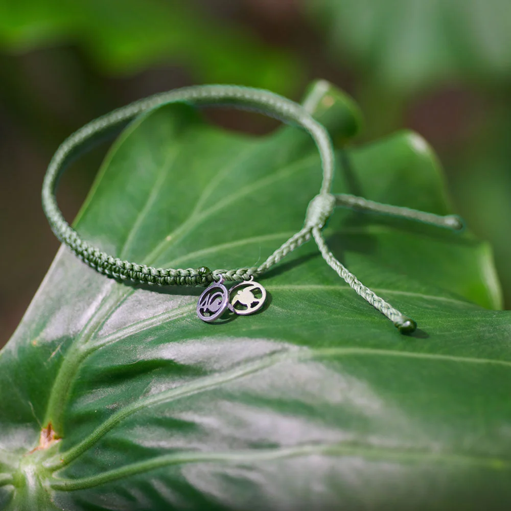 4ocean Loggerhead Sea Turtle Bracelet - Image 6